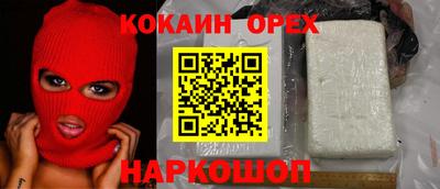 прущие грибы Пенза