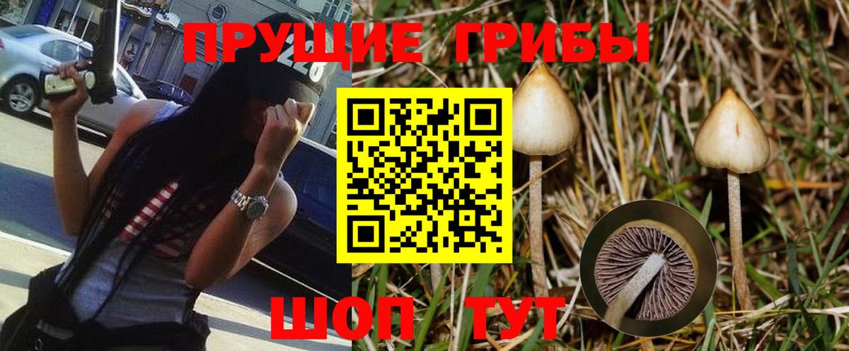Галлюциногенные грибы MAGIC MUSHROOMS  Псилоцибиновые грибы ЛСД  Похвистнево  Вход с VPN 