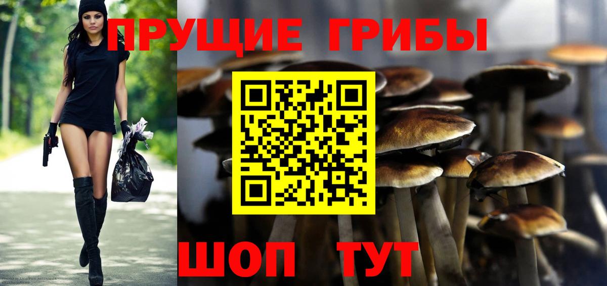 Галлюциногенные грибы прущие грибы Похвистнево
